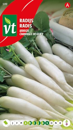 Semillas de rábano Ice Candle - raíz larga, blanca y casi transparente
