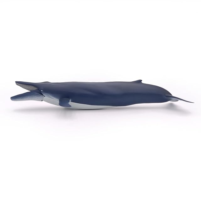 Foto 5 de 8 de Figura Grande de Ballena Gigante del Mar, Colección Mundo Marino, Niños 3+