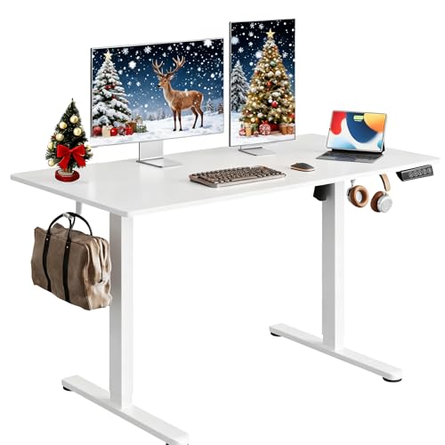 DEVAISE 48x24 Inch Electric Standing Desk with Memory