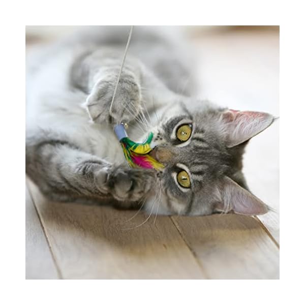 Katzenspielzeug Ersatzfedern Katzenspielzeug Zauberstab Nachfüllungen, natürliche Vogelfedern Libelle Wurm Nachfüllung, Katzenfeder-Spielzeug Ersatz für Katzenstab (11 Stück (Federn + Libelle + Wurm)) – Bild 5