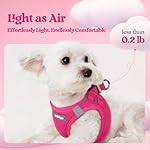 rabbitgoo Dog Harness Small Sized and Leash Set, Step in Soft Light Puppy Vest, Breathable Mesh Pet Harness, Reflective for Safe Easy Walking, Rose Red S - Image 2
