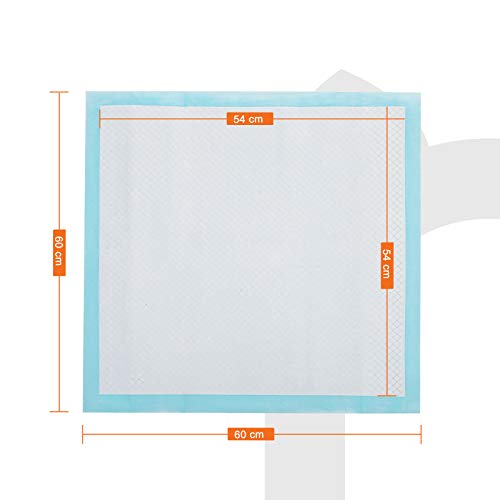 FEANDREA Puppy Pads, Welpen-Unterlage, 60 x 60 cm, 100 Stück, blau-weiß PTD60B