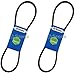 2 Pack Stens 265-999 OEM Replacement Belt Ariens 07206600