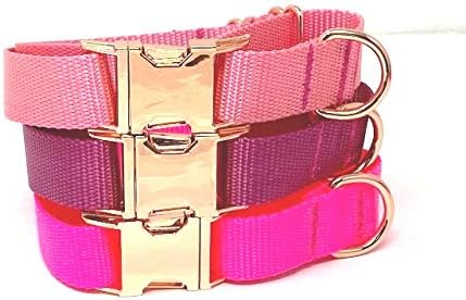 Pink, Raspberry, Rose Gold, Martingale with Metal Buckle, for Girls, Female, Choker Dog Collar (Small Leash 3/4" W X 5', Hot Pink)