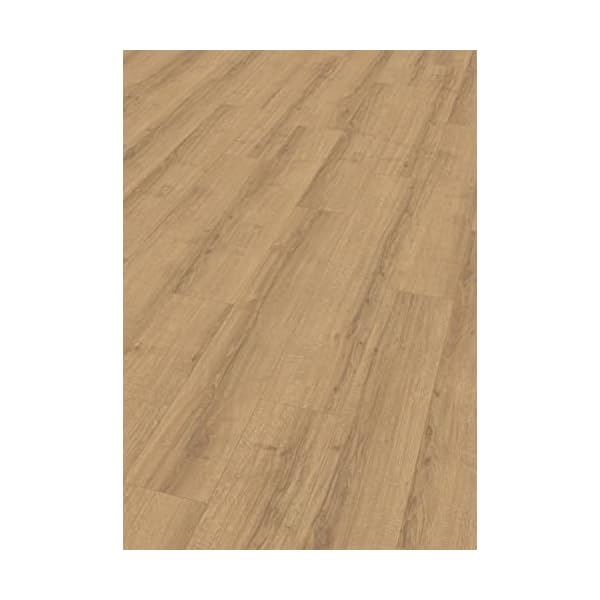 Egger Laminatboden Aqua Clic It EL1007 Sherman Eiche Honig (8mm, 1,995m²) | authentische Holzoptik | | Einfache Verlegung durch Klicksystem | Praktisch & wertbeständig, Braun