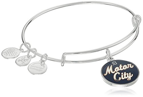 Alex and Ani Motor City Expandable Rafaelian Silver-Tone Bangle Bracelet