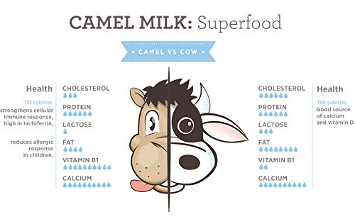 Organic Frozen Camel Milk Kefir - Pasture-Raised Grass-Fed Non-Allergenic - Paleo and Keto Friendly - Made In The USA [6 Pack] - Thumbnail 7