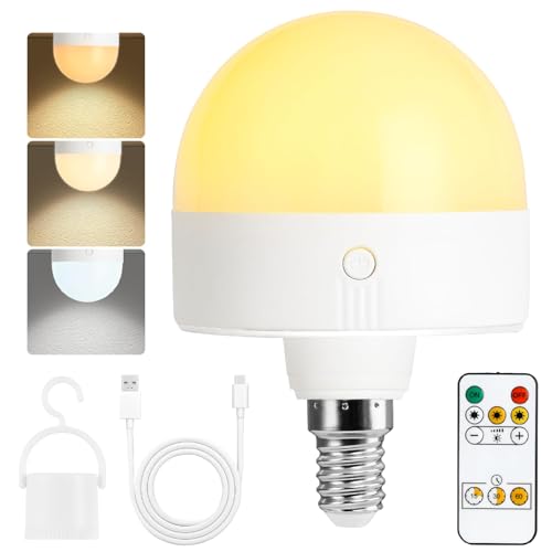 Fynokst Ampoules LED Rechargeables USB-C avec Télécommande, 3 Couleurs à Intensité Variable, E14 USB 5 W Touch Control avec Fonction de Minuterie,...