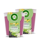 Air Wick Wohlfühl-Duftkerze DUO im Glas – Duft: Brombeere und Holunderblüte – Je bis zu 20 Stunden Brenndauer – Enthält natürliche ätherische Öle – 2 x 105 g Duftkerze in Lila