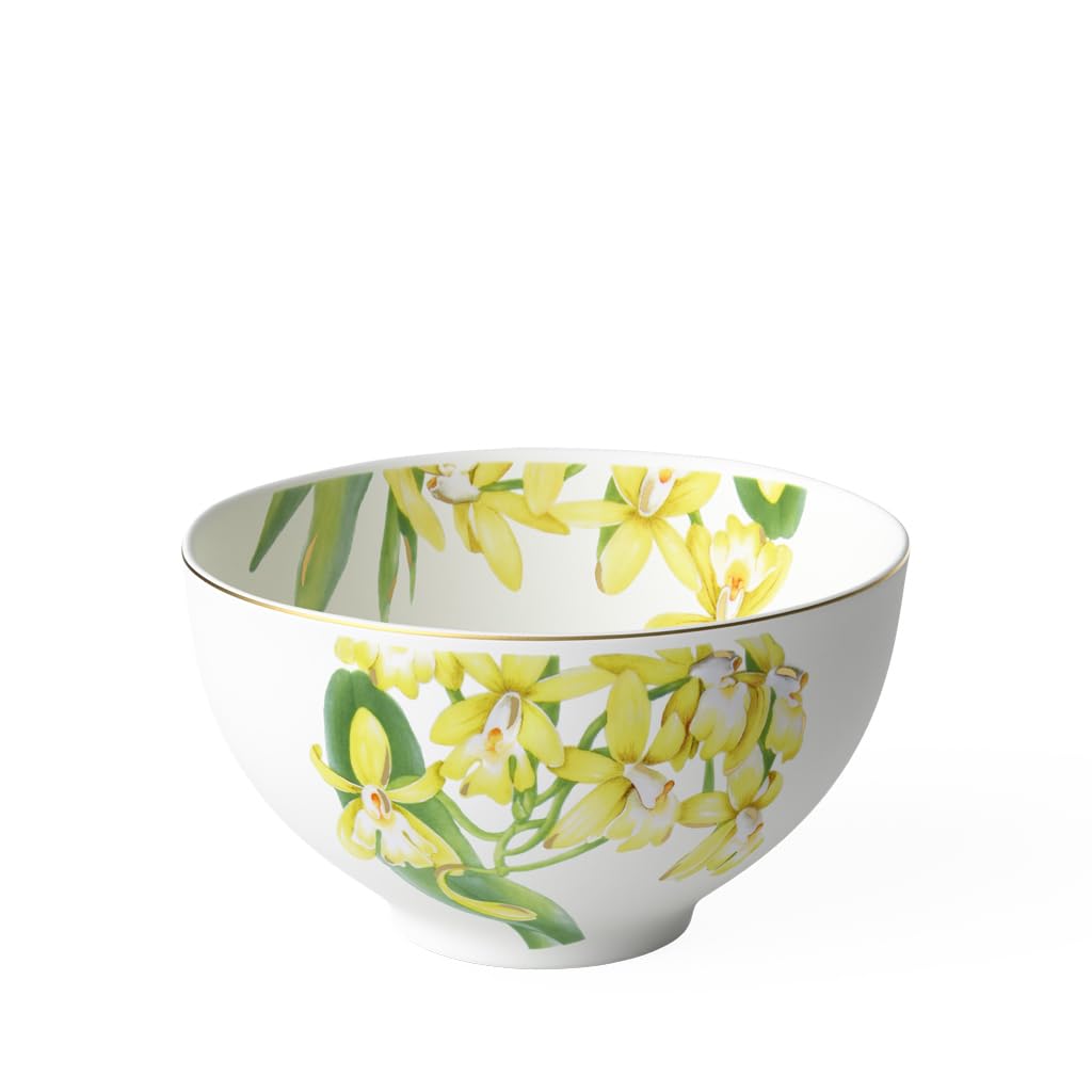 Villeroy & Boch Amapolo 花柄 ボウル 6枚セット 廃盤 Villeroy