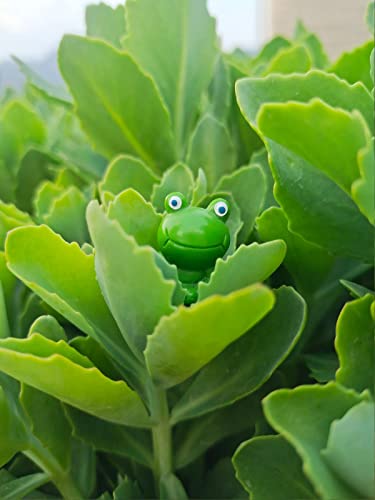 Yaartz 20 Pcs Resin Mini Frogs Tiny Green Frogs Miniature Figurines For Fairy Garden Terrarium Diy Craft Landscape Decor #TOP2