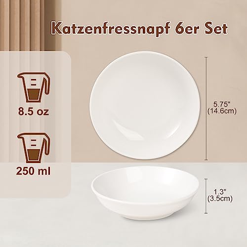 Katzennäpfe aus Keramik Katzennapf Set - 6 Stück Futternapf für Katzen im minimalistischen Stil - Breit, Flach, schnurrhaarfreundlich - mikrowellen- und spülmaschinenfest - 250 ml
