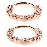 BESTonZON Anillos Nasales de Metal para Mujer Zirconia Brillante Piercing de Nariz Rosa Dorado 2 Piezas Joyería Nasal Portátil para Fiestas y Uso Diario