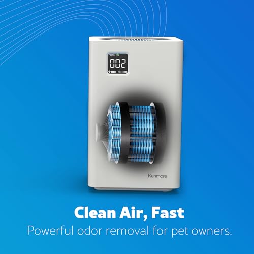 image for Kenmore PM2010 Air Purifiers with H13 True HEPA Filter, Covers Up to 1