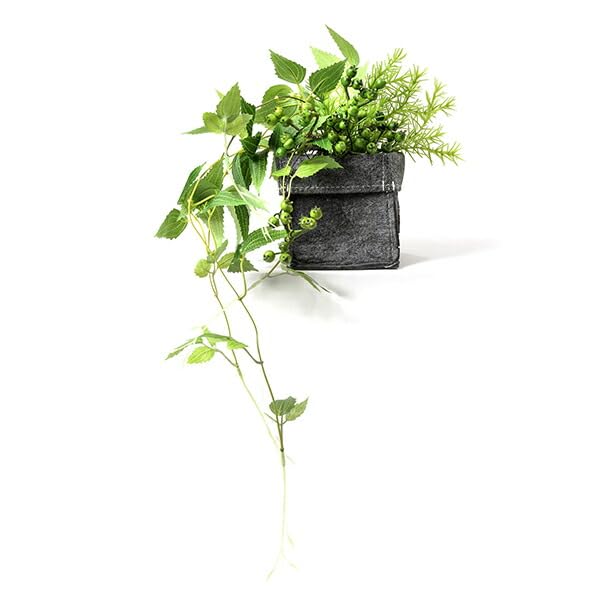Amazon｜GREENPARK テッセンソウ 消臭ファブリックポット 観葉植物