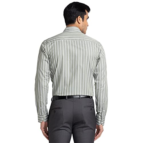 Image of Park Avenue Men's Pure Cotton Stripe Pattern Slim Fit Ainsley Collar Full Sleeve Formal Shirt