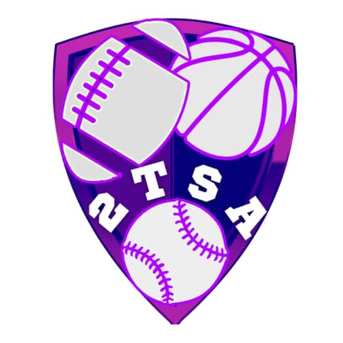 2 Terrible Sports Analysts cover art