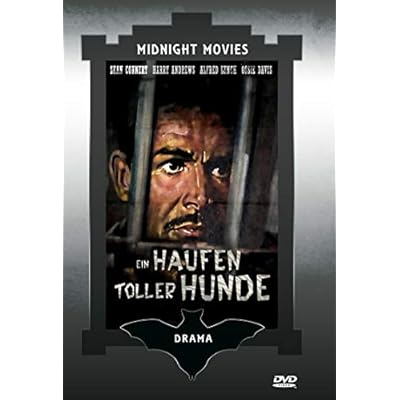Ein Haufen toller Hunde