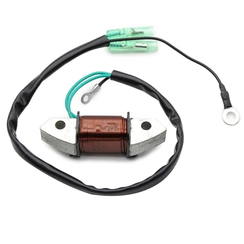 Bobina de carga de iluminación 40X E40X estator alternador para motores de 40hp