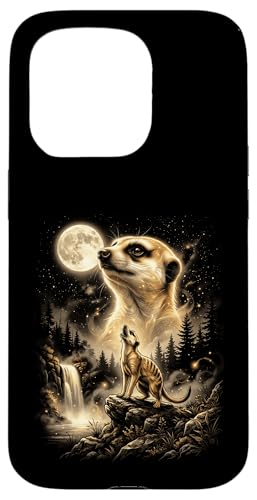 �~�[�A�L���b�g�n�E�����O�A�b�g�U���[���~�[�� �X�}�z�P�[�X iPhone 15 Pro �p