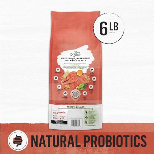Image of Purina Beyond Natural Wholesome Ingredients for Whole Health Dry Cat Food Salmon and Whole Brown Rice Recipe - 6 lb. Bag (Pack of 2)