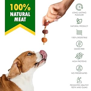   Kabobs-Dog-Rawhide-Treats-with-Duck-Chicken-Human-Grade-Meat-All-Natural-Organic-Dried-Snacks-Grain-Free-Long-Lasting-Chews-for-Large-Small-Dogs-Best-Sticks-for-Training-Healthy-Teeth