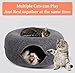 Apex Pets Cat Tunnel Bed | Cat Cave Bed | Beds for Indoor Cats | Large Cat House for Pet Cat Cave (Dark Gray)