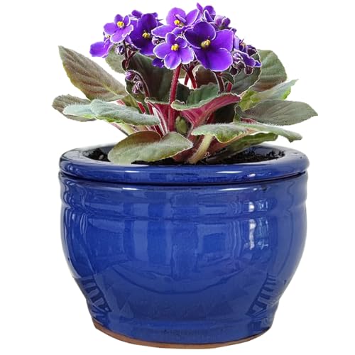Dphagesy African Violet Pots Self Watering Round...