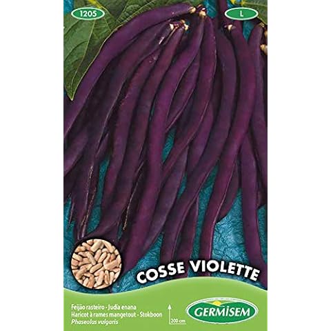 Semillas de Frijol Corredor Germisem Cosse Violette Cover