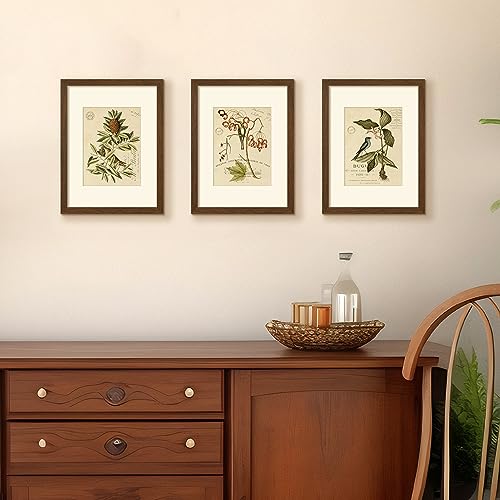 Image of upsimples 9x12 Picture Frame, Display Pictures 6x8 with Mat or 9 x 12 Without, Wall Hanging Photo Frames, Brown, 1 Pack