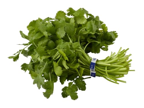 Cilantro, 1 Each