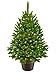 Produktbild ArtiTree - Künstlicher Weihnachtsbaum 80cm im Topf mit LED - Christmas Tree für Innen und Außen, Kunstlich Baum für Weihnachtsdeko, Realistische Optik