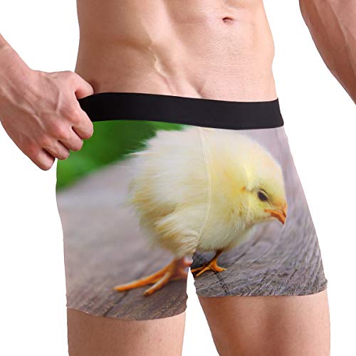 MONTOJ Boxer Stretch pour Homme Motif Poussin de Pâques - - L Cover