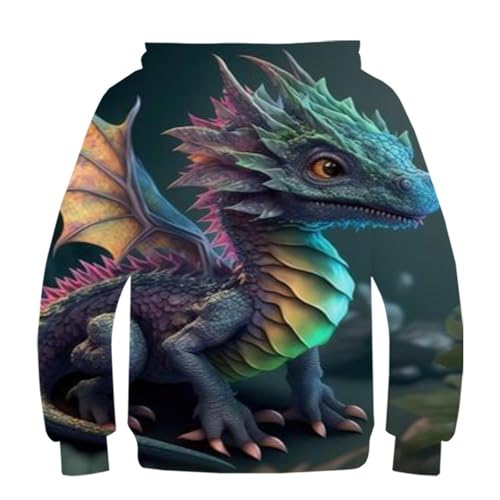 Sweat décontracté bébé dragon 3D : fini les vêtements d'ado ennuyeux - 3