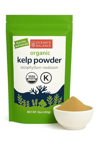 Oceans Balance Clean Wildcrafted Kelp Powder (Ascophyllum nodosum) from the Gulf of Maine | Rich in Iodine & 70+ Minerals | Supports Metabolism Skin & Immunity | Fathers Day Gift for Dad Husband & Grandpa 16 oz