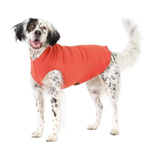 Goldpaw Stretch Fleece Dog Sweater, Paprika, Size 14