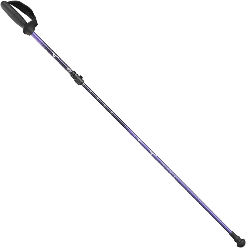 1回使用 LEKI ノルディックウォーキングポール トレッキングポール