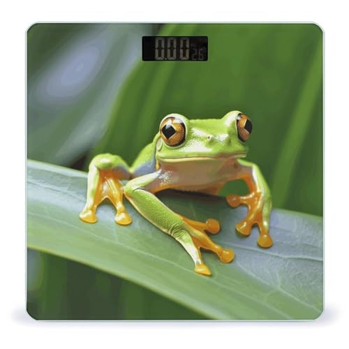 Báscula digital para bebés Tree Frog con vidrio templado miniatura 1