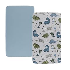 Light Blue & Dinosaur