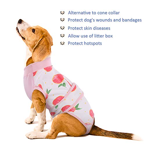Kuoser Recovery Suit For Dogs Cats After Surgery, Professional Pet Recovery Shirt Dog Abdominal Wounds Bandages, Substitute E-Collar & Cone,Prevent Licking Dog Onesies Pet Surgery Recovery Suit #TOP6