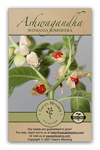 Gaea's Blessing Seeds - Ashwagandha Seeds - Heirloom Non-GMO Seeds with Easy to Follow Planting Instructions