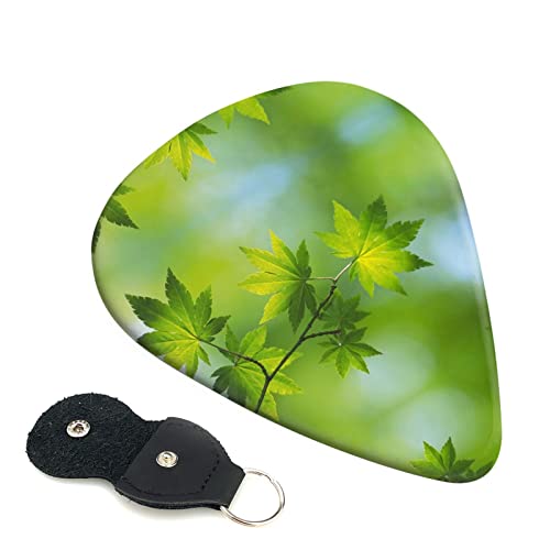 Hd Green Nature Lot de 6 médiators pour guitare acoustique, guitare électrique, basse, ukulélé – fins, moyens et épais - Les Beatles, Paul McCartney, John Lennon, RIngo Starr, George Harrison Hd Green Nature Lot de 6 médiators pour guitare acoustique, guitare électrique, basse, ukulélé - fins, moyens et épais