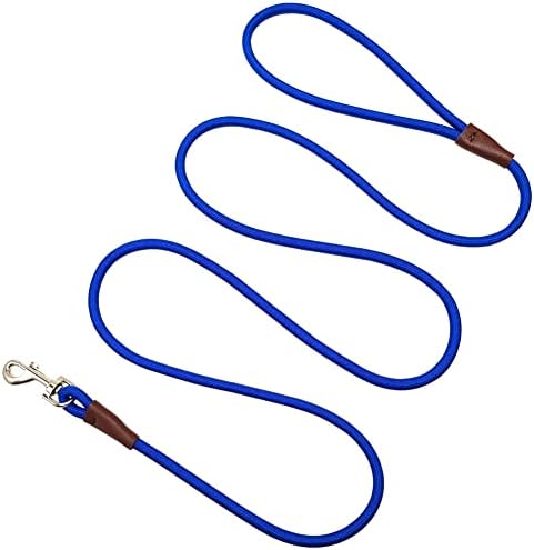 SEPXUFORE Small Dog Leash, 1/4" by 6/8/10 FT Lightweight Durable Nylon Rope Leash, Bright Classic Leash for Small Pets/Puppy/Cat