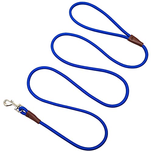 Sepxufore Small Dog Leash, 1/4" By 6/8/10 Ft Lightweight Durable Nylon Rope Leash, Bright Classic Leash For Small Pets/Puppy/Cat #TOP3