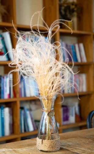 Fiskenet Pluma de planta para vaso decoração de grama dos pampas 0,3 m Papas Grass Pompas floral dec