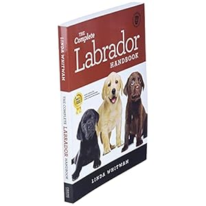   The-Complete-Labrador-Handbook-The-Essential-Guide-for-New-Prospective-Labrador-Owners-Canine-Handbooks-Paperback--April-27-2017