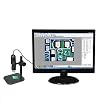 BANGWEIER Portable USB Digital Microscope 25X ~ 600X Magnification Mini Microscope Camera