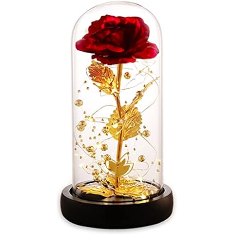 Dream of Flowers Christmas Rose Gifts for Her, Birthday Gifts for Women, Rose Gifts for Mom, Beauty and The Beast Rose, Christmas Rose Gifts for Wife, Thanksgiving Gifts, Wedding Cover