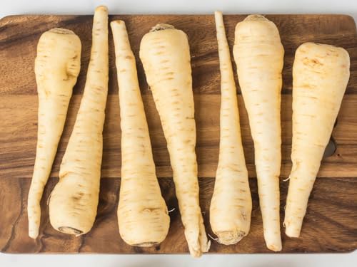 TomorrowSeeds - Harris Early Model Parsnip Seeds - 1000+ Count - for 2026 Planting USA Garden Root Vegetable Turnip Potato Carrot Non-GMO Heirloom Grow Your Own Home Farm Patio Healthy Sustainable - Thumbnail 2