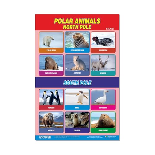 Image of ESCAPER Polar Animals Educational Charts for Kids Learning (11.5 x 17.5 inches), 300 GSM Paper Laminated, Self Adhesive Back, Learning Chart, Kids Study Material, Educational Posters